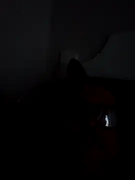 BocaElite online show from April 26, 2026, 11:51 am