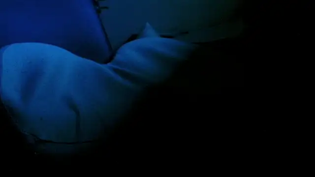 blow2gold online show from November 12, 2025, 12:26 am