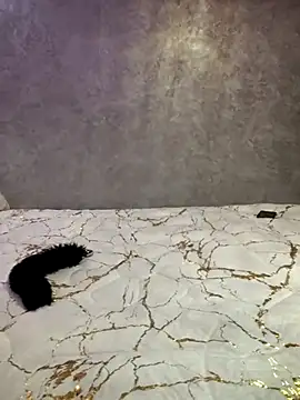 Snapshot of Charmoota_arab chatting on February 11, 2025, 4:02 pm Charmoota arab online show from February 11, 2025, 4:02 pm