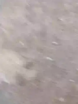 dheck2020 online show from January 7, 2025, 11:45 pm