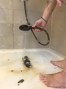 angelus112 online show from November 18, 2025, 7:44 am