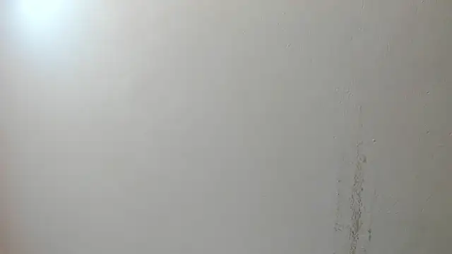 Snapshot of sarita_loven chatting on July 17, 2026, 5:04 am sarita loven online show from July 17, 2026, 5:04 am
