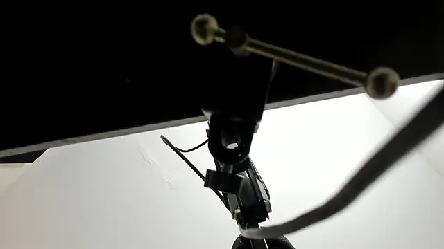 sarita loven online show from February 20, 2026, 4:42 am