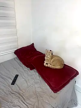 Snapshot of Liamiler01_ chatting on October 10, 2025, 12:33 am Liamiler01 online show from October 10, 2025, 12:33 am