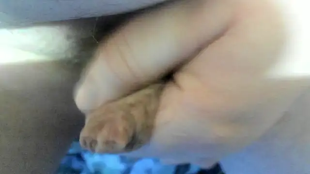 Big Andiy online show from November 21, 2025, 6:12 am