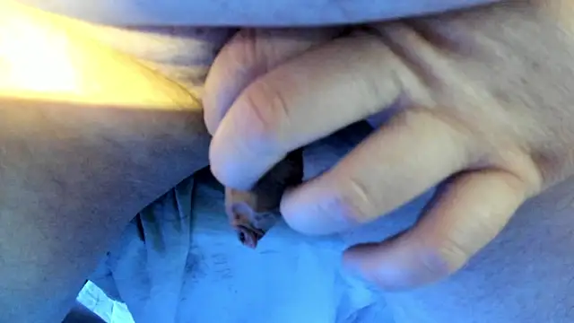 Big Andiy online show from October 24, 2025, 10:14 am