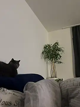 Koy261112 online show from February 4, 2026, 5:35 am