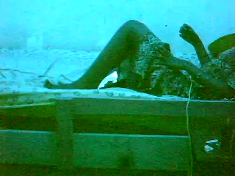 Snapshot of De_maskedcouple chatting on January 11, 2025, 10:29 pm De maskedcouple online show from January 11, 2025, 10:29 pm