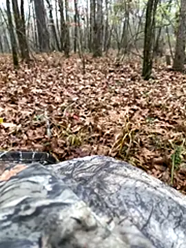 Themechanic420 online show from December 13, 2025, 10:27 pm