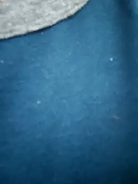 Bangalorebull online show from October 17, 2025, 3:21 am