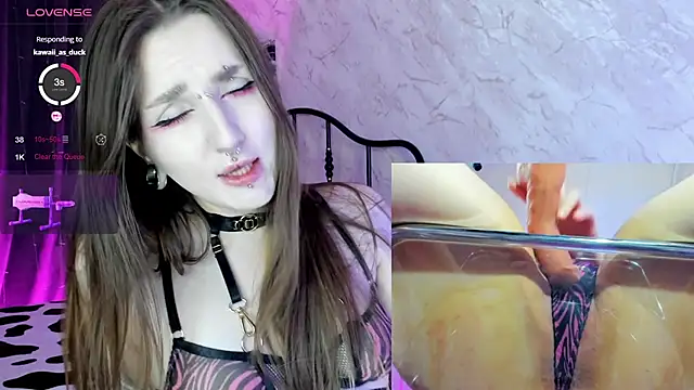 Pink diablo online show from March 19, 2025, 2:48 am