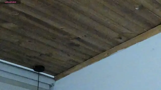 Snapshot of natasha_logan_ chatting on September 29, 2025, 4:08 am natasha logan online show from September 29, 2025, 4:08 am