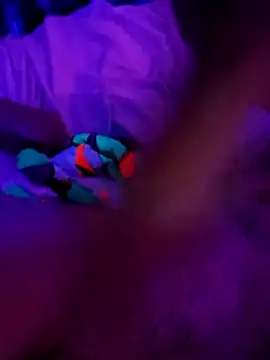 Snapshot of cammyquart chatting on November 2, 2025, 10:09 am cammyquart online show from November 2, 2025, 10:09 am