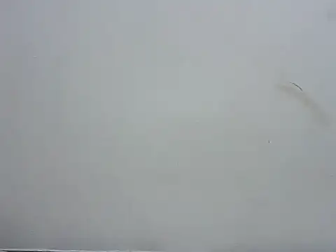 prettybeee online show from November 4, 2025, 9:40 pm