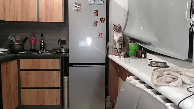 delightful sofi online show from October 7, 2025, 5:47 pm