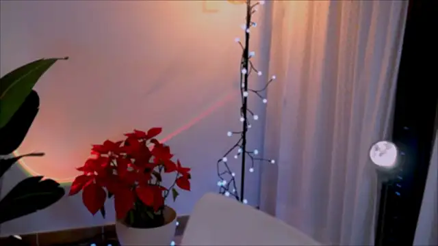 anabelcurvy online show from January 2, 2025, 5:18 pm