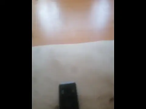 Snapshot of Happypotplants chatting on December 14, 2025, 8:20 am Happypotplants online show from December 14, 2025, 8:20 am