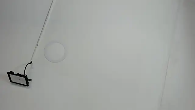 Snapshot of CeliWoods chatting on October 12, 2025, 11:22 am CeliWoods online show from October 12, 2025, 11:22 am