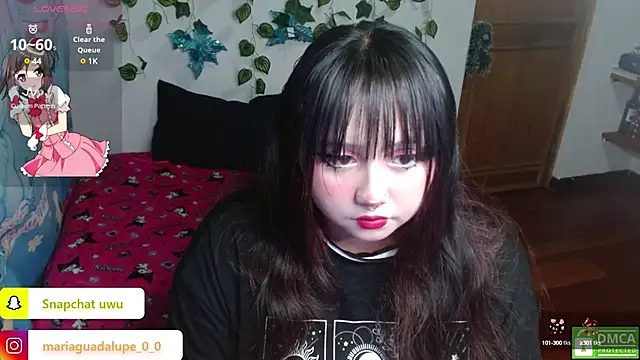 litlle cat online show from January 14, 2025, 5:30 am