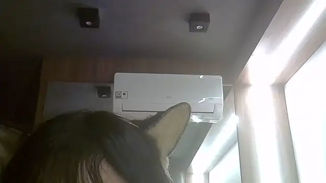 Snapshot of Skinny-Kitten chatting on June 24, 2026, 1:37 am Skinny-Kitten online show from June 24, 2026, 1:37 am