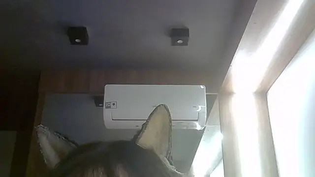 Snapshot of Skinny-Kitten chatting on July 29, 2026, 1:21 pm Skinny-Kitten online show from July 29, 2026, 1:21 pm