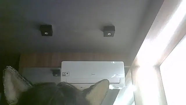 Snapshot of Skinny-Kitten chatting on June 17, 2026, 3:44 pm Skinny-Kitten online show from June 17, 2026, 3:44 pm