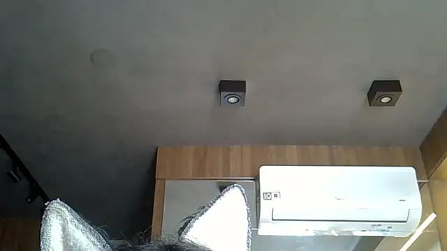 Skinny-Kitten online show from November 14, 2025, 3:15 pm