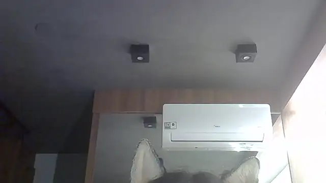 Snapshot of Skinny-Kitten chatting on February 15, 2026, 7:51 am Skinny-Kitten online show from February 15, 2026, 7:51 am