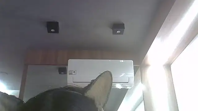 Snapshot of Skinny-Kitten chatting on June 25, 2026, 11:32 pm Skinny-Kitten online show from June 25, 2026, 11:32 pm