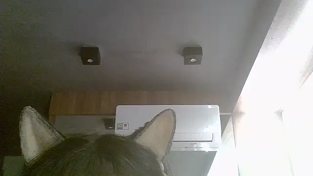 Snapshot of Skinny-Kitten chatting on July 19, 2026, 7:28 am Skinny-Kitten online show from July 19, 2026, 7:28 am