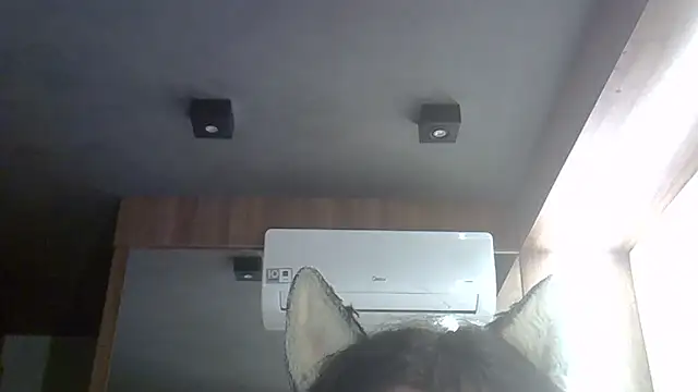 Snapshot of Skinny-Kitten chatting on February 16, 2026, 1:04 am Skinny-Kitten online show from February 16, 2026, 1:04 am