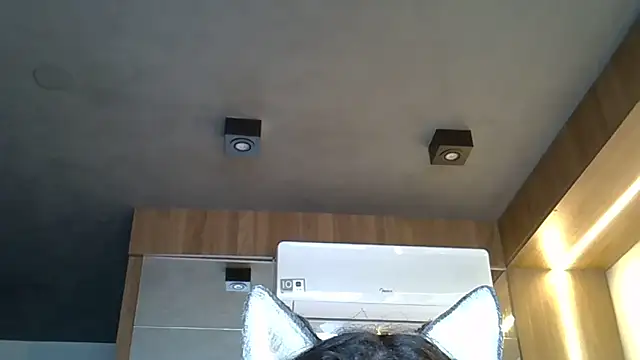 Skinny-Kitten online show from November 1, 2025, 9:36 am