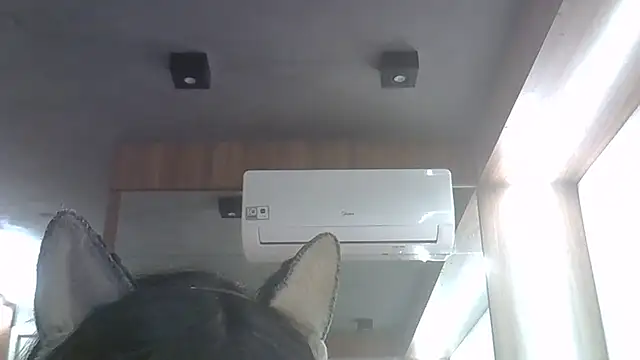 Snapshot of Skinny-Kitten chatting on June 4, 2026, 11:42 pm Skinny-Kitten online show from June 4, 2026, 11:42 pm