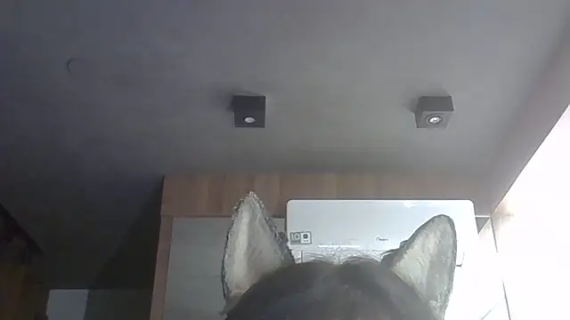 Snapshot of Skinny-Kitten chatting on February 14, 2026, 1:39 am Skinny-Kitten online show from February 14, 2026, 1:39 am