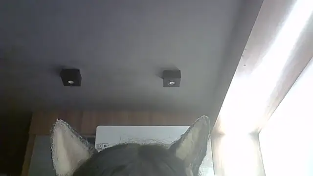 Snapshot of Skinny-Kitten chatting on March 9, 2026, 3:43 am Skinny-Kitten online show from March 9, 2026, 3:43 am