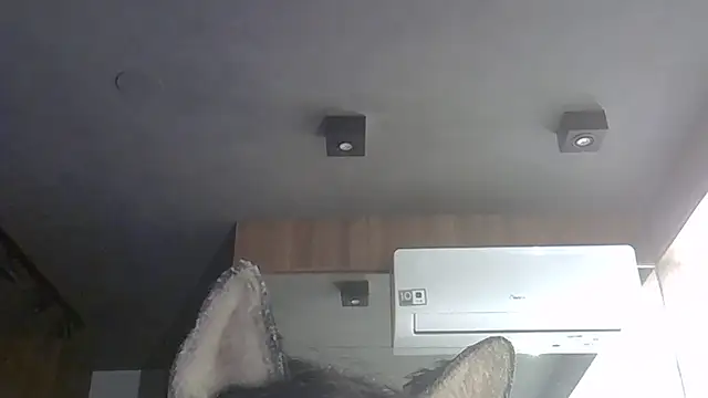 Snapshot of Skinny-Kitten chatting on February 7, 2026, 8:39 pm Skinny-Kitten online show from February 7, 2026, 8:39 pm