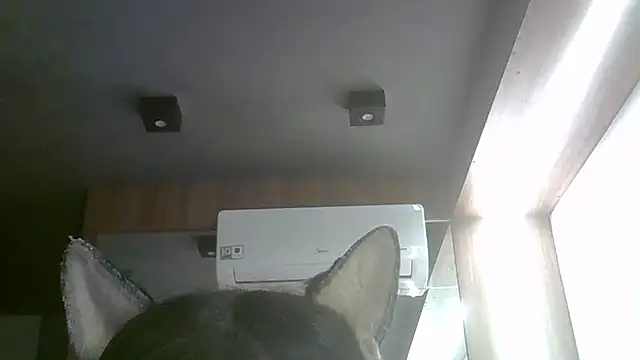 Skinny-Kitten online show from May 4, 2026, 4:43 pm