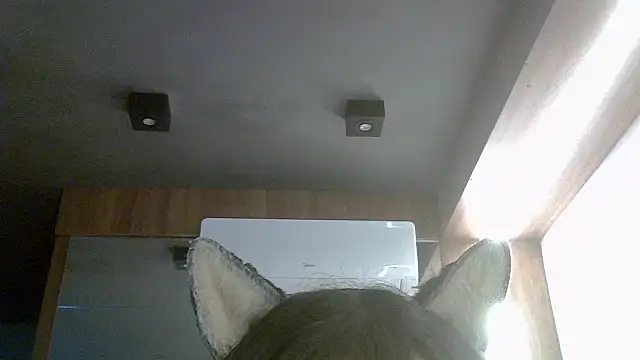 Snapshot of Skinny-Kitten chatting on July 16, 2026, 4:48 pm Skinny-Kitten online show from July 16, 2026, 4:48 pm