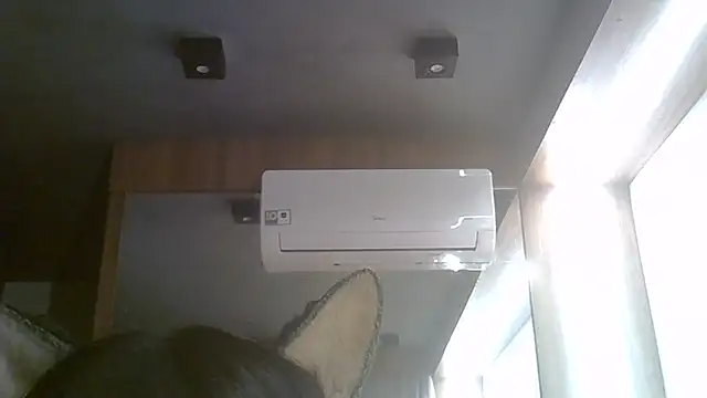 Snapshot of Skinny-Kitten chatting on August 3, 2026, 3:47 am Skinny-Kitten online show from August 3, 2026, 3:47 am