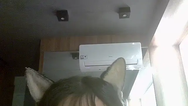 Snapshot of Skinny-Kitten chatting on June 2, 2026, 4:07 pm Skinny-Kitten online show from June 2, 2026, 4:07 pm