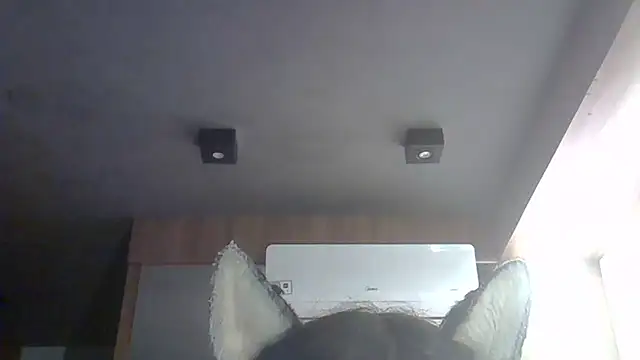 Snapshot of Skinny-Kitten chatting on March 14, 2026, 9:26 am Skinny-Kitten online show from March 14, 2026, 9:26 am