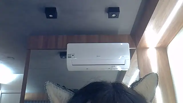 Snapshot of Skinny-Kitten chatting on July 18, 2026, 4:26 pm Skinny-Kitten online show from July 18, 2026, 4:26 pm