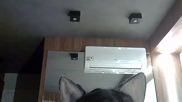 Skinny-Kitten online show from September 30, 2025, 9:32 pm
