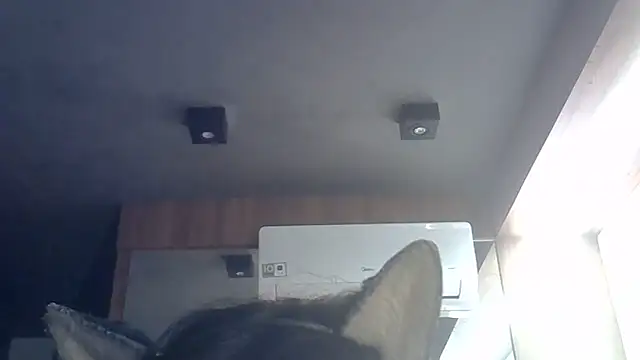 Snapshot of Skinny-Kitten chatting on June 9, 2026, 9:32 am Skinny-Kitten online show from June 9, 2026, 9:32 am