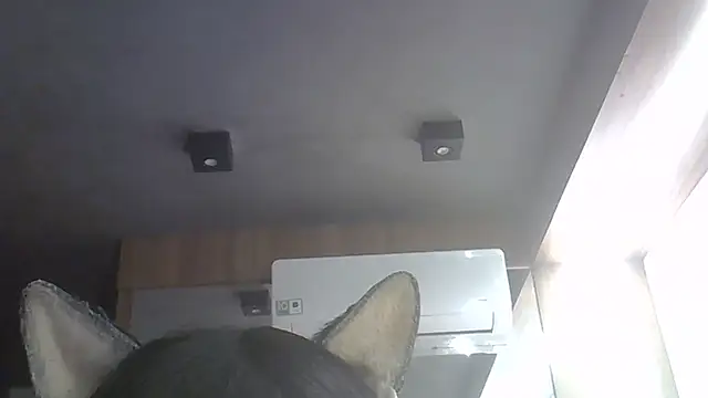 Snapshot of Skinny-Kitten chatting on August 5, 2026, 8:14 pm Skinny-Kitten online show from August 5, 2026, 8:14 pm