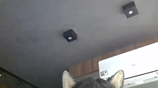 Snapshot of Skinny-Kitten chatting on March 4, 2026, 5:26 am Skinny-Kitten online show from March 4, 2026, 5:26 am