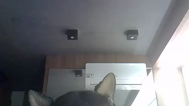 Snapshot of Skinny-Kitten chatting on June 30, 2026, 12:10 am Skinny-Kitten online show from June 30, 2026, 12:10 am
