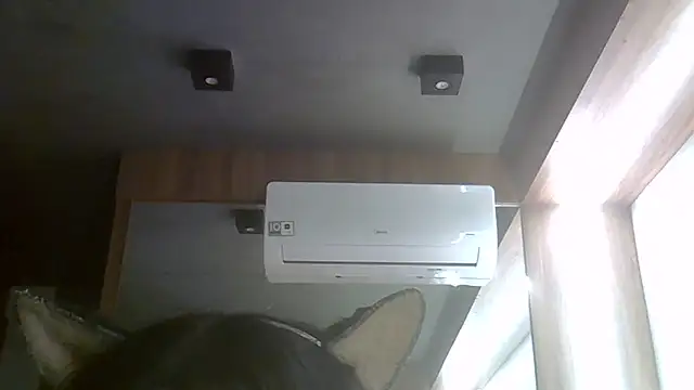 Snapshot of Skinny-Kitten chatting on July 24, 2026, 4:19 am Skinny-Kitten online show from July 24, 2026, 4:19 am