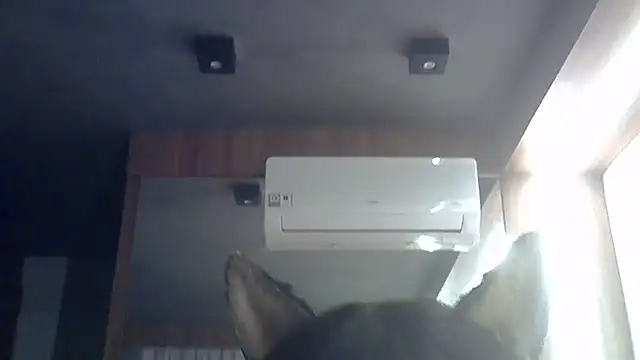 Snapshot of Skinny-Kitten chatting on June 28, 2026, 1:50 pm Skinny-Kitten online show from June 28, 2026, 1:50 pm
