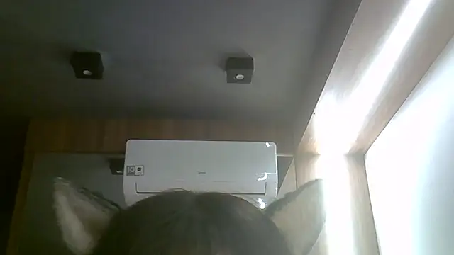 Snapshot of Skinny-Kitten chatting on June 16, 2026, 8:47 am Skinny-Kitten online show from June 16, 2026, 8:47 am